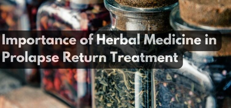 Herbal Medicine in Prolapse Rectum Treatment